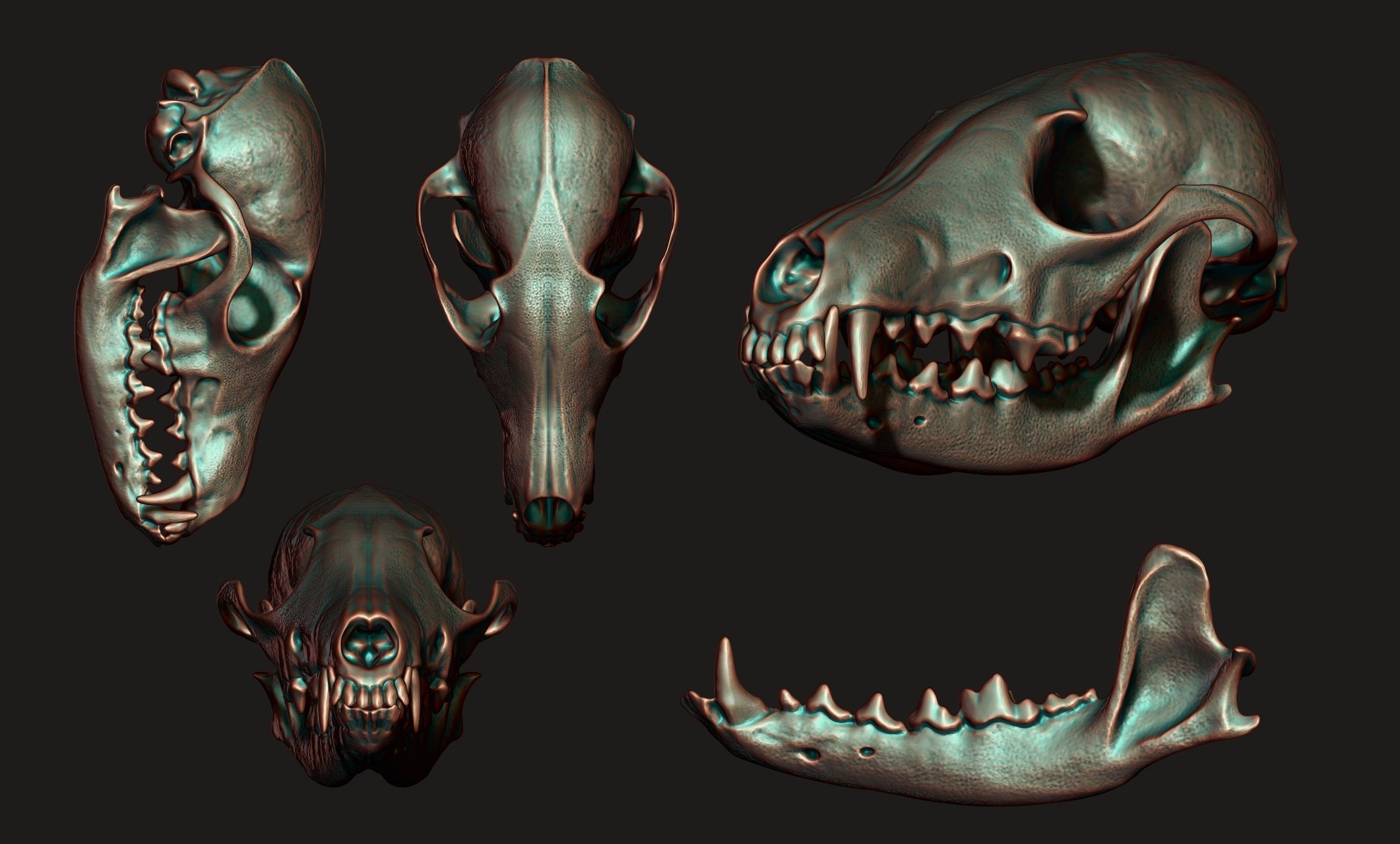 European Fox Skull - Vulpes vulpes - CNC 3D print model_9