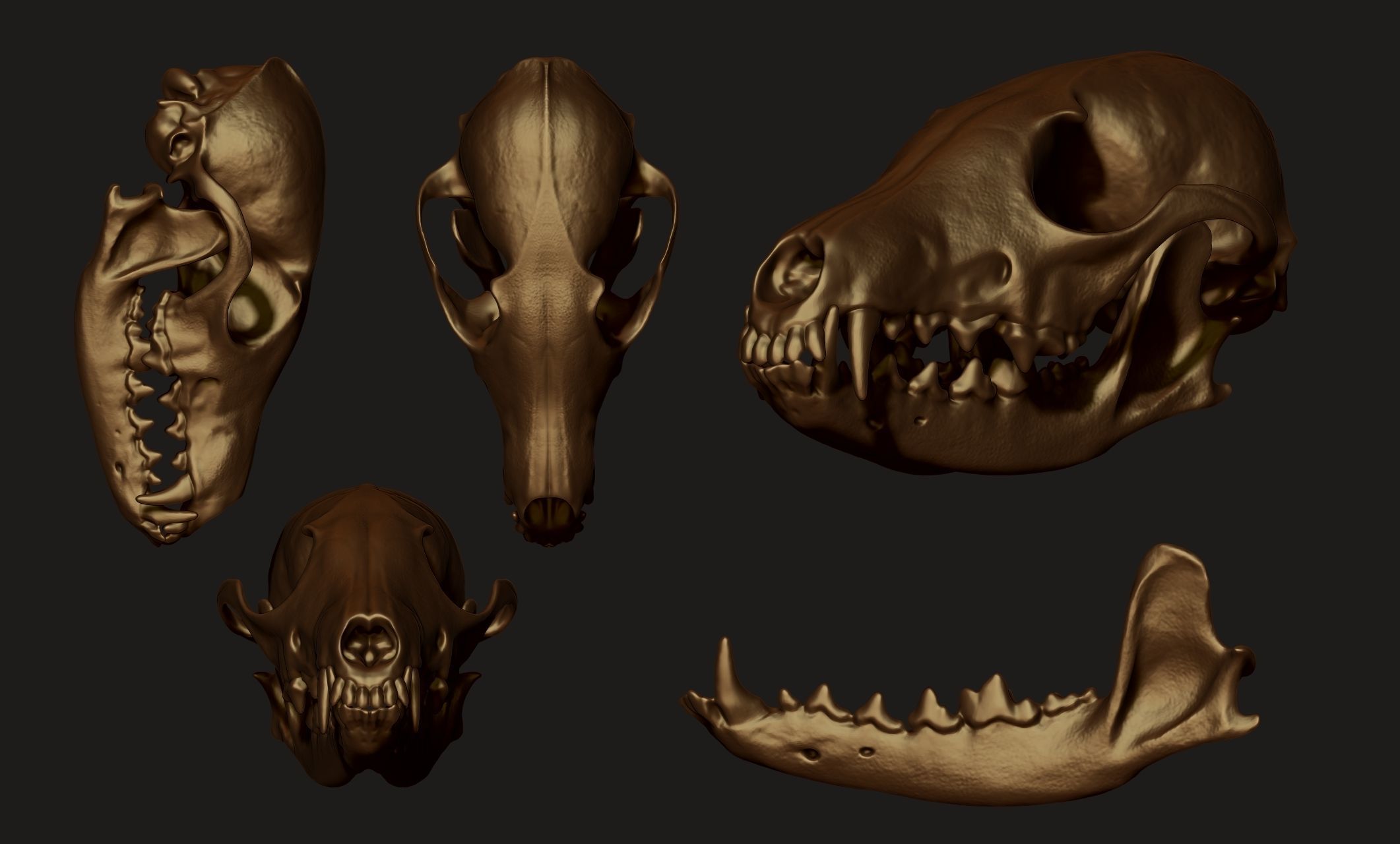 European Fox Skull - Vulpes vulpes - CNC 3D print model_13
