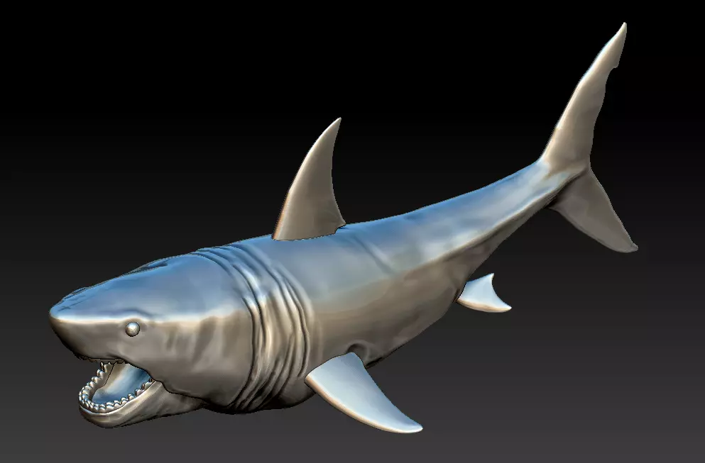 Megalodon 3d Print Model shark 3D print model