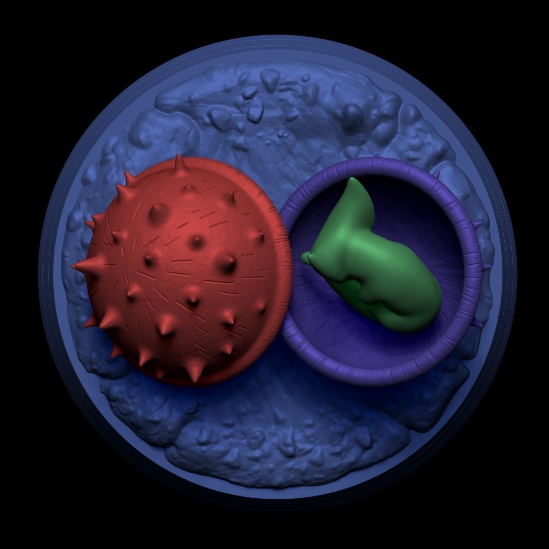 DRAGONBALL Z LARVA CELL 3D print model_14