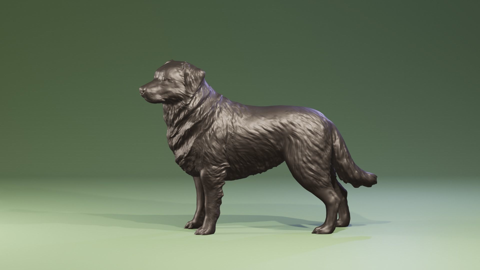 Realistic Australian Shepherd dog standing for diorama 3D print model_7
