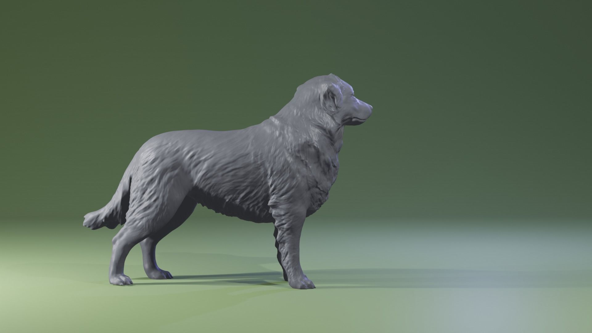 Realistic Australian Shepherd dog standing for diorama 3D print model_5