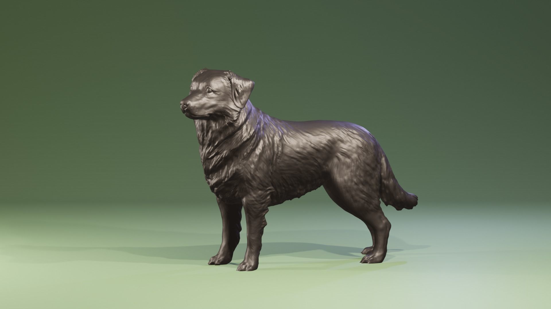 Realistic Australian Shepherd dog standing for diorama 3D print model_9