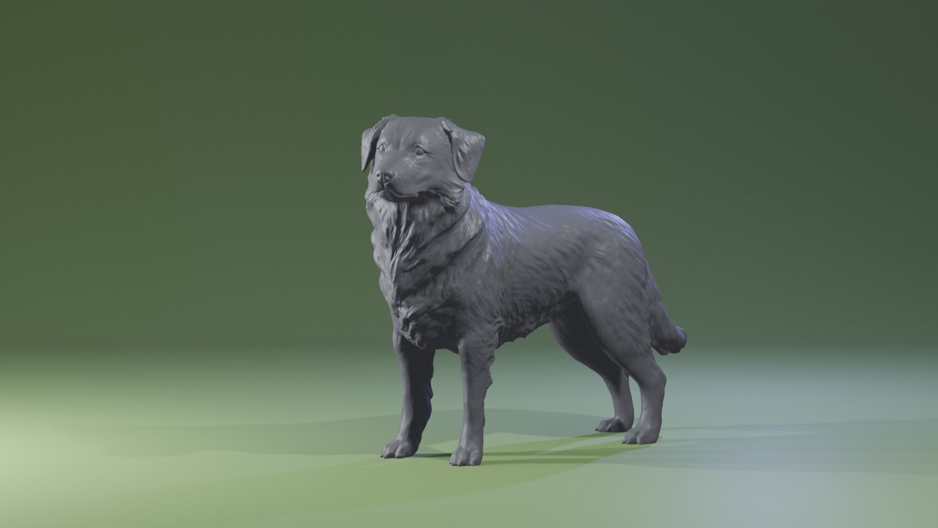 Realistic Australian Shepherd dog standing for diorama 3D print model_2