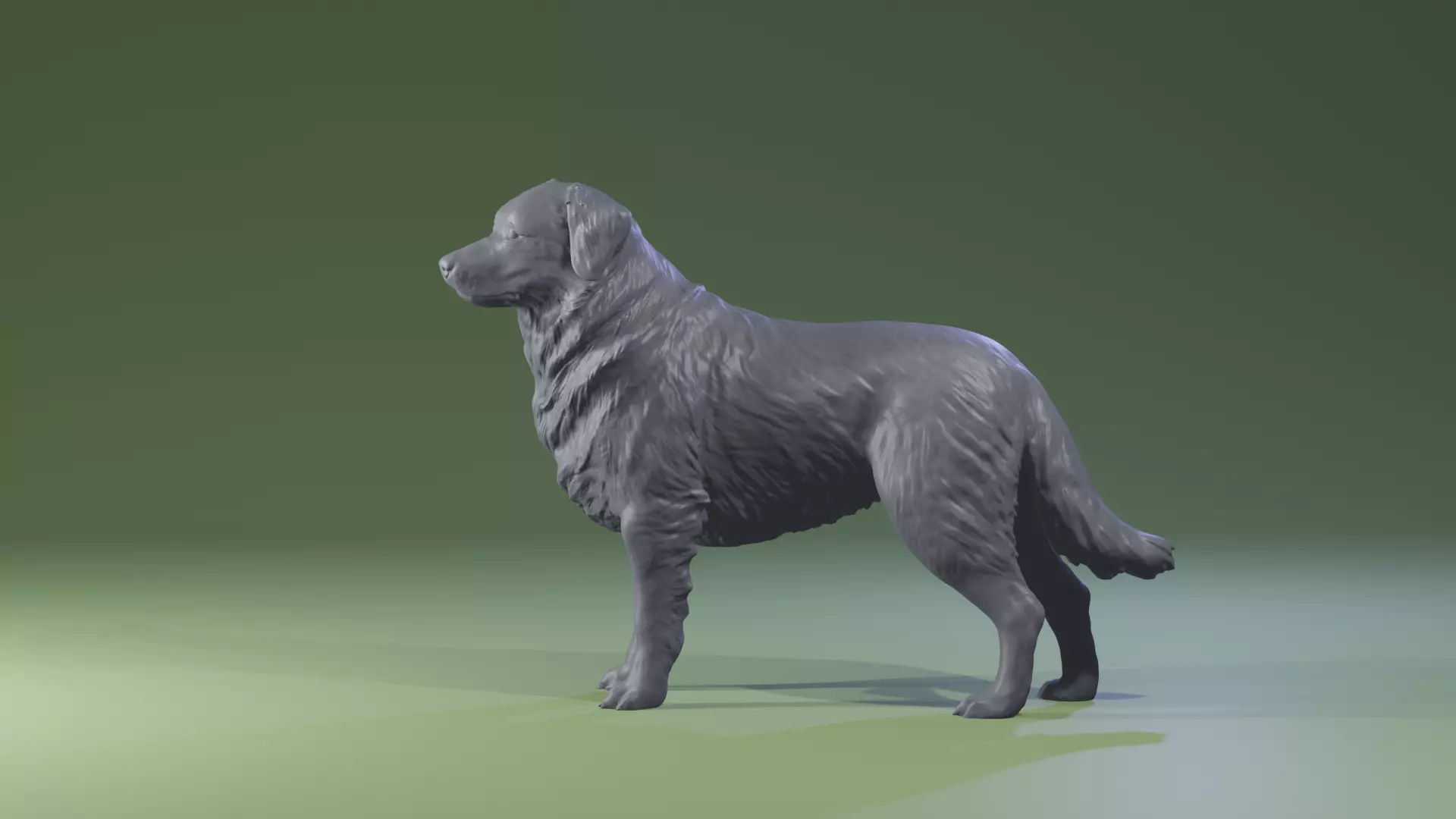 Realistic Australian Shepherd dog standing for diorama 3D print model_0