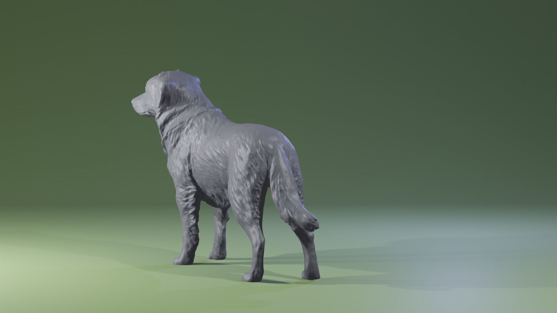Realistic Australian Shepherd dog standing for diorama 3D print model_6
