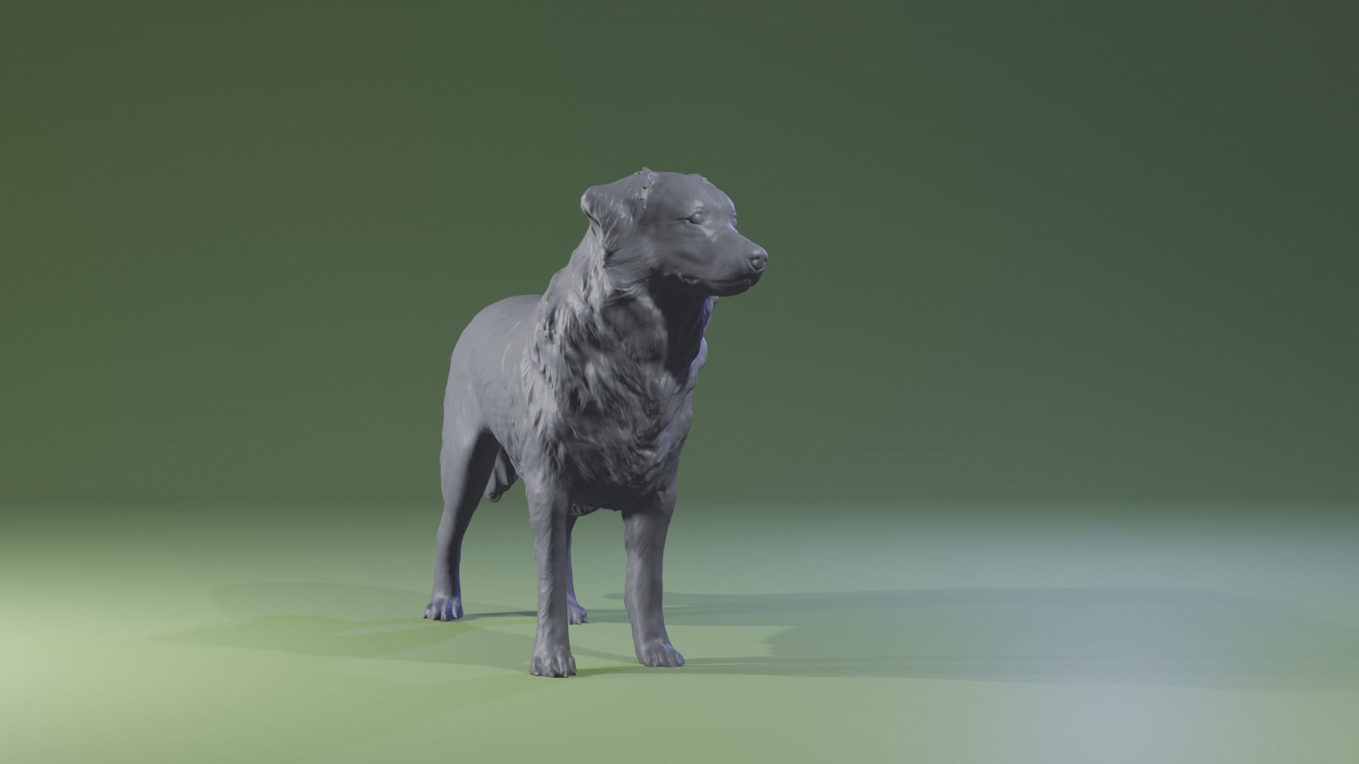 Realistic Australian Shepherd dog standing for diorama 3D print model_3