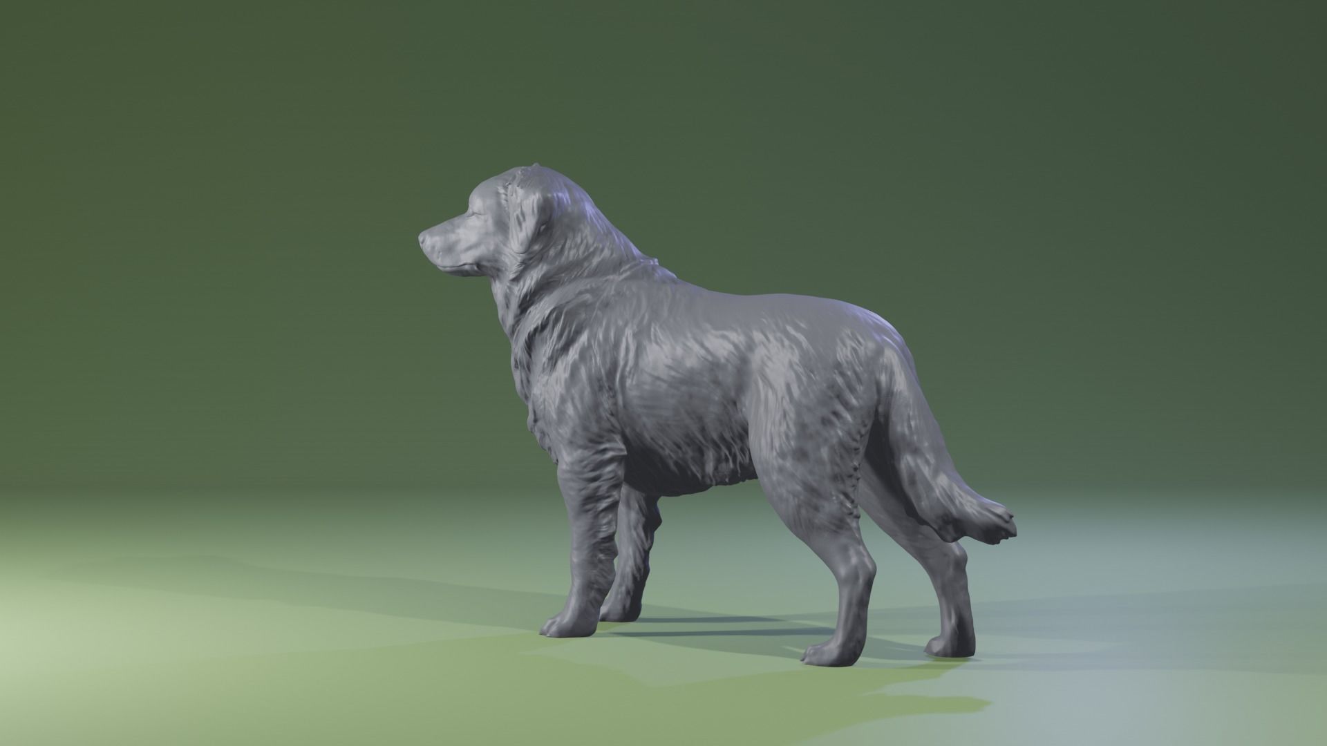 Realistic Australian Shepherd dog standing for diorama 3D print model_1