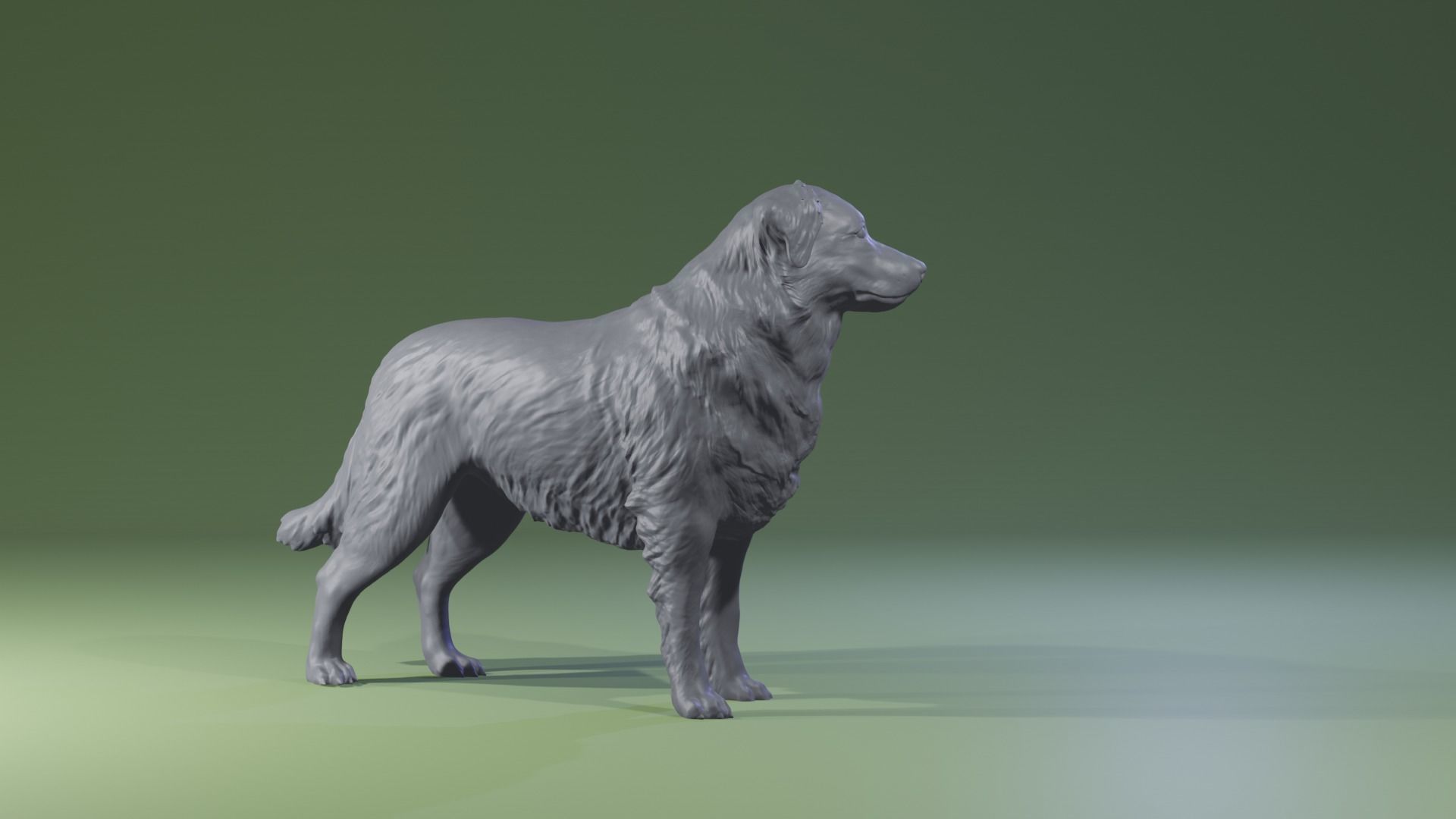 Realistic Australian Shepherd dog standing for diorama 3D print model_4