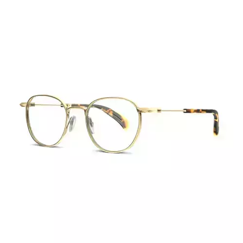 Rag Bone - RNB7027 3YG Glasses