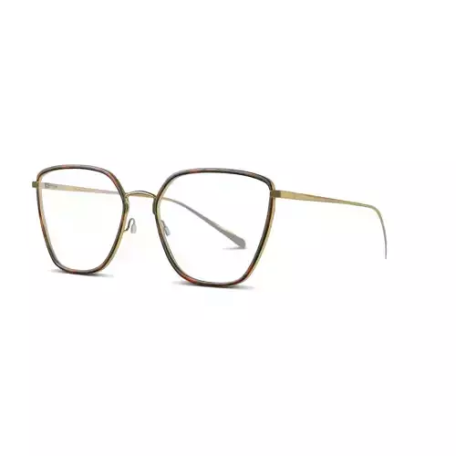 Rag  Bone - RNB3028 06J Glasses Low-poly 3D model