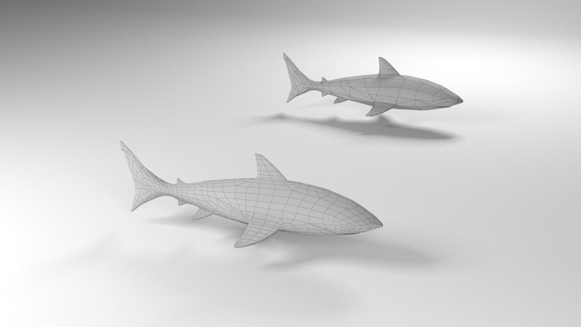 Shark Low-poly 3D model_21