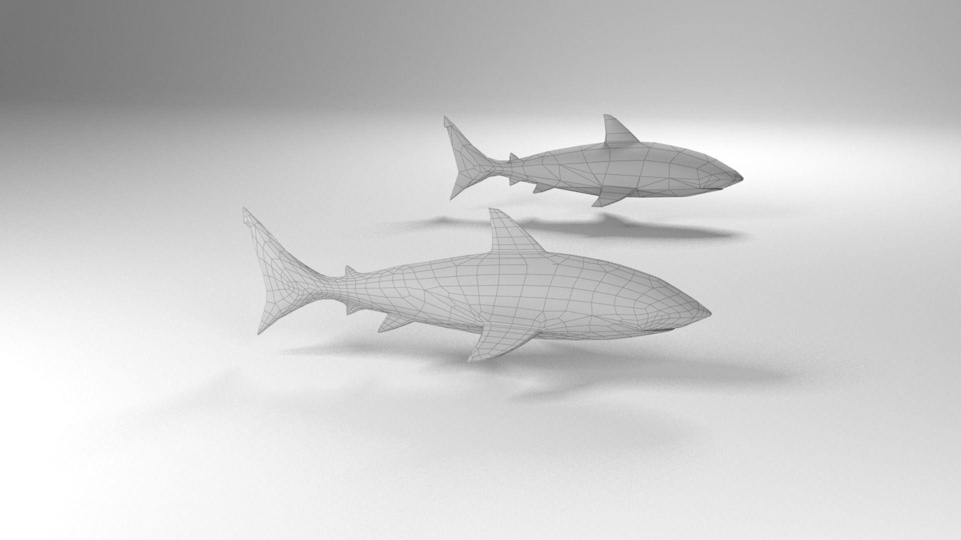 Shark Low-poly 3D model_13