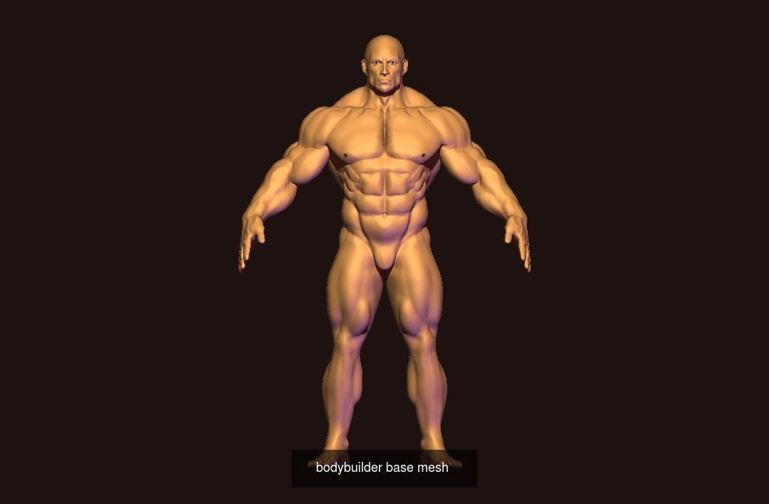 base mesh collection  _12