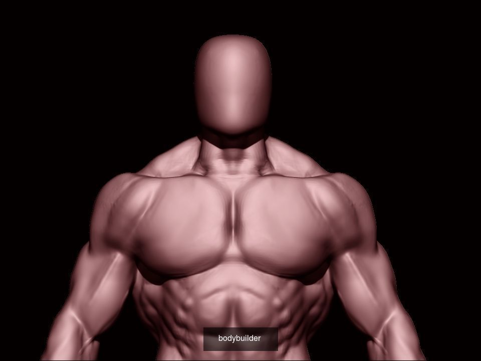 base mesh collection  _7