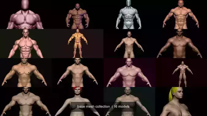 base mesh collection  