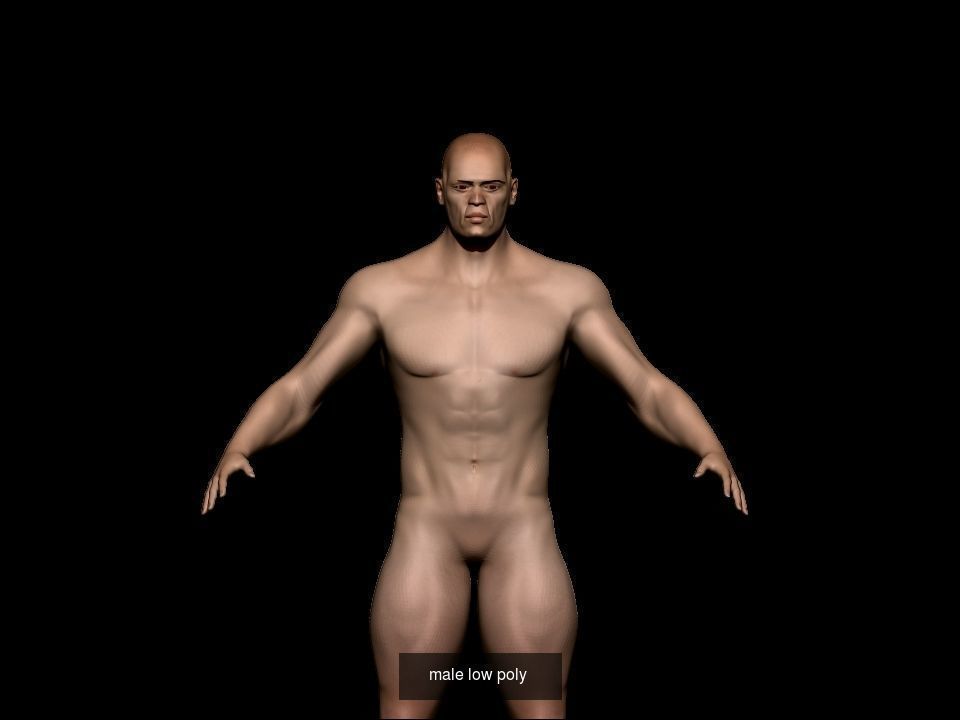 base mesh collection  _13