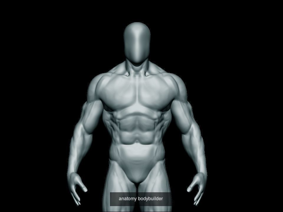 base mesh collection  _9