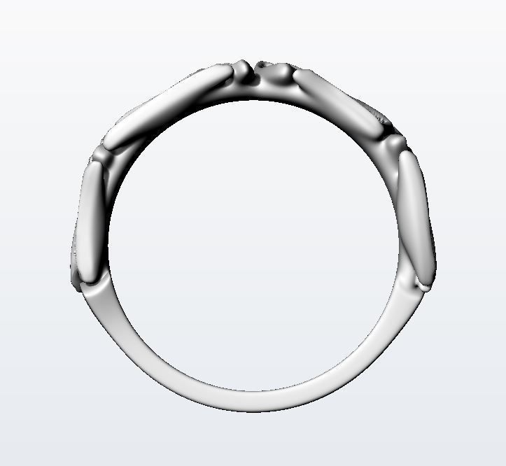 Craft Chapter VIII 3D print model_9