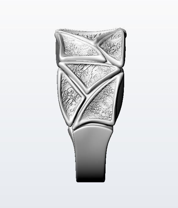 Craft Chapter VIII 3D print model_8