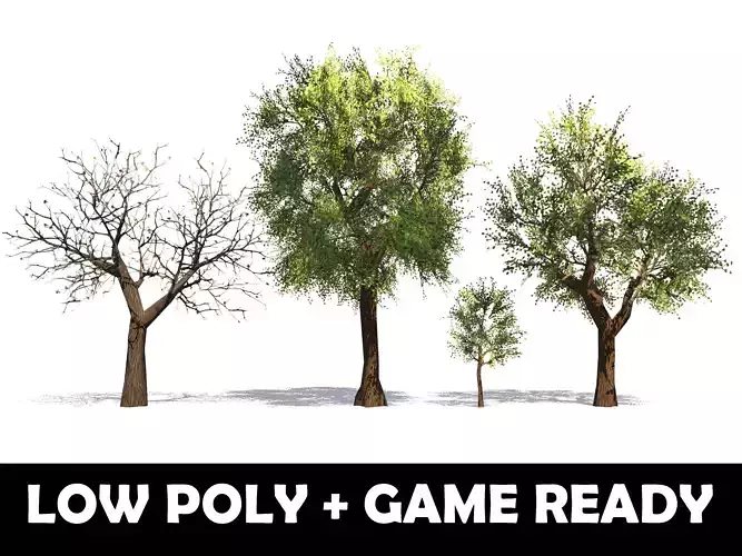 Trees - Game Ready willow tree Low-poly 3D model