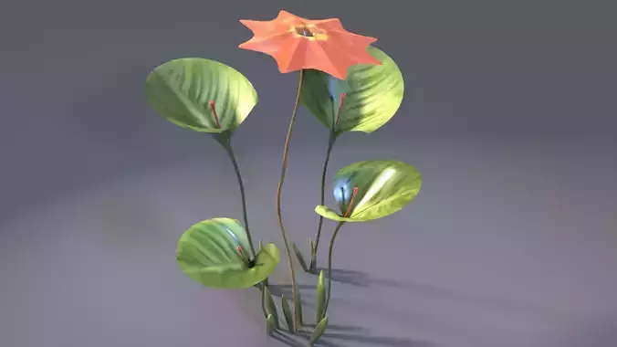 Concept plant