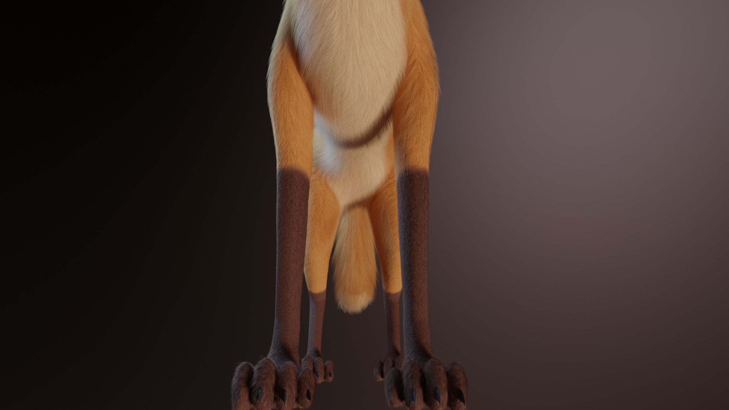 Yakov Fox 3D model_13