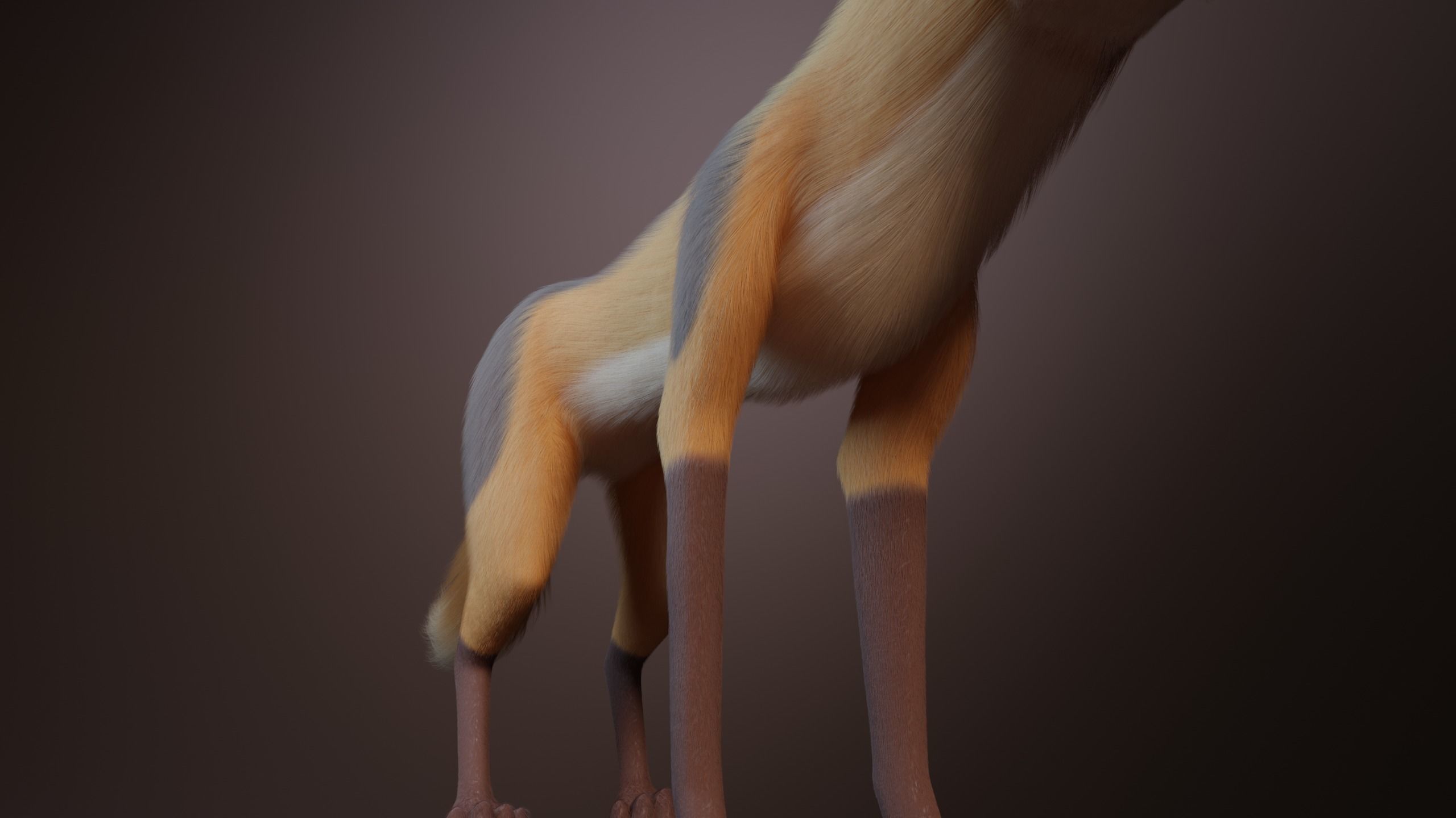 Yakov Fox 3D model_11