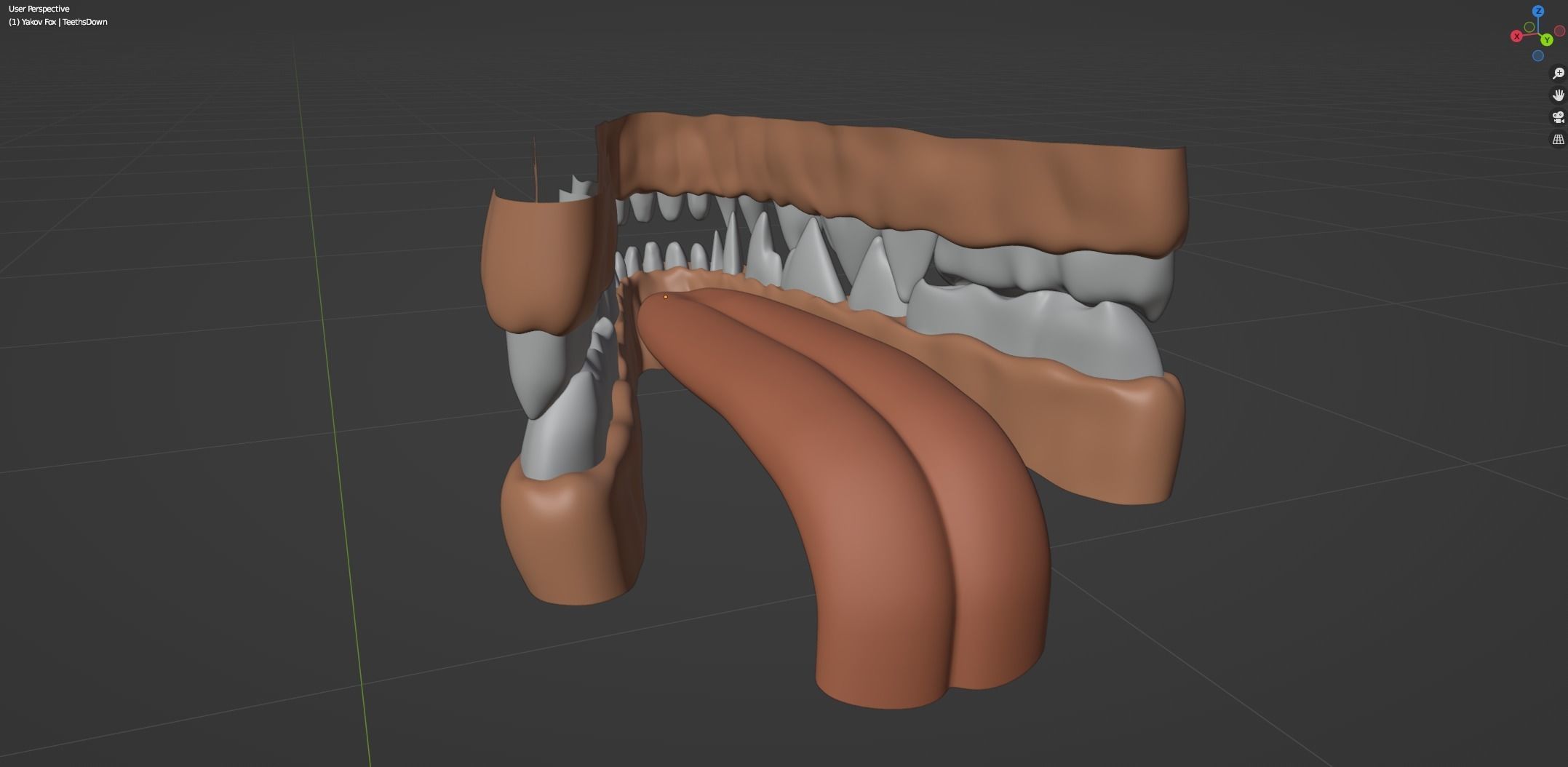 Yakov Fox 3D model_55