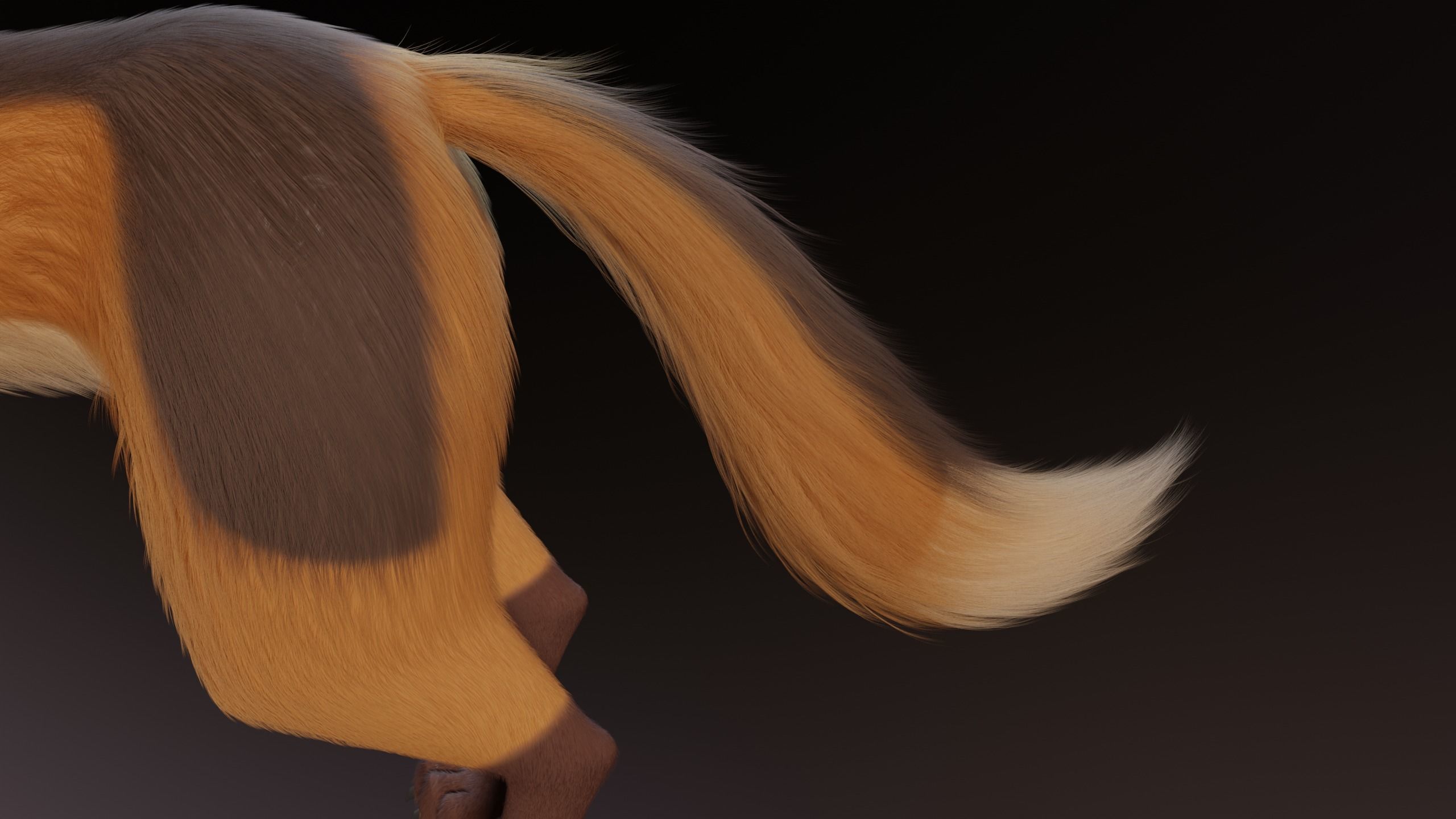 Yakov Fox 3D model_12