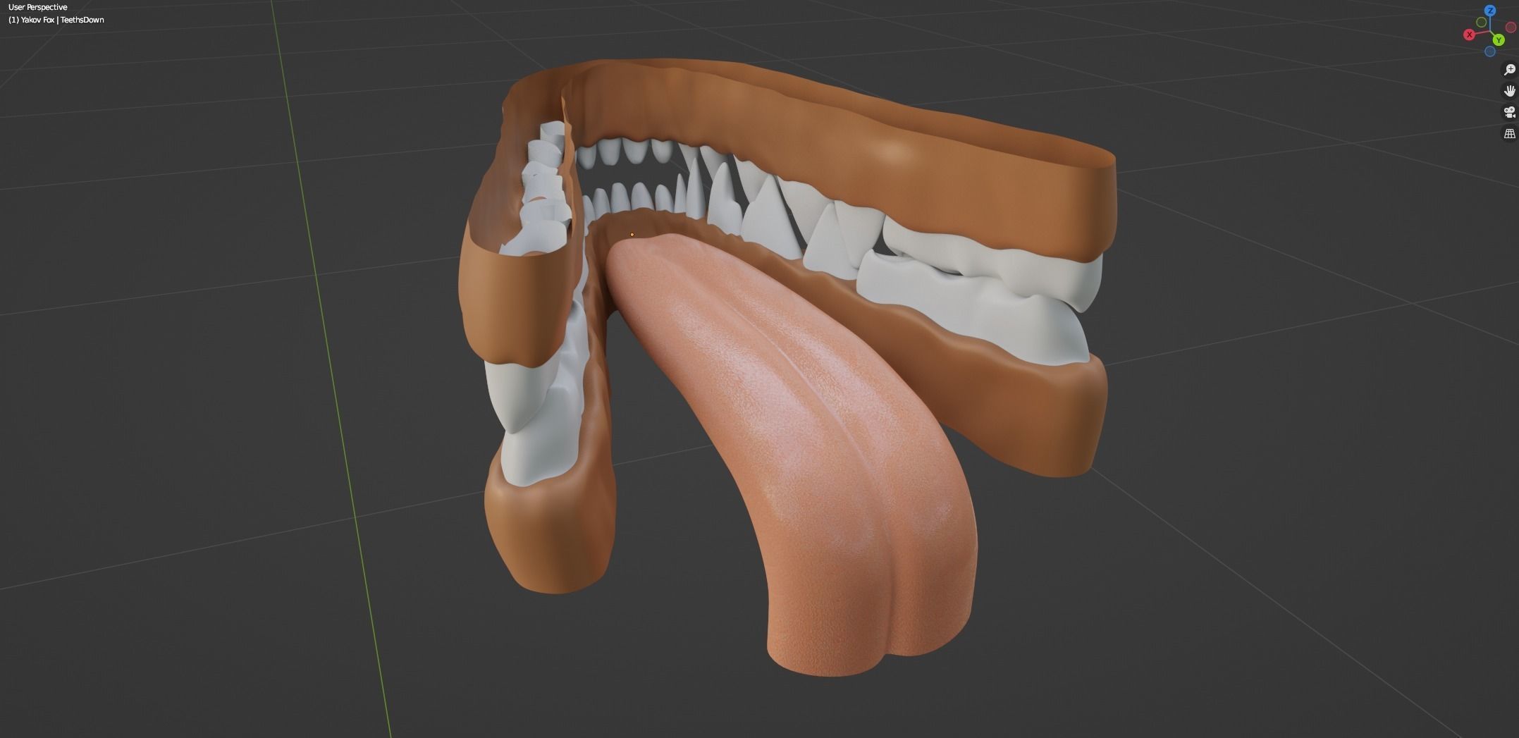 Yakov Fox 3D model_57