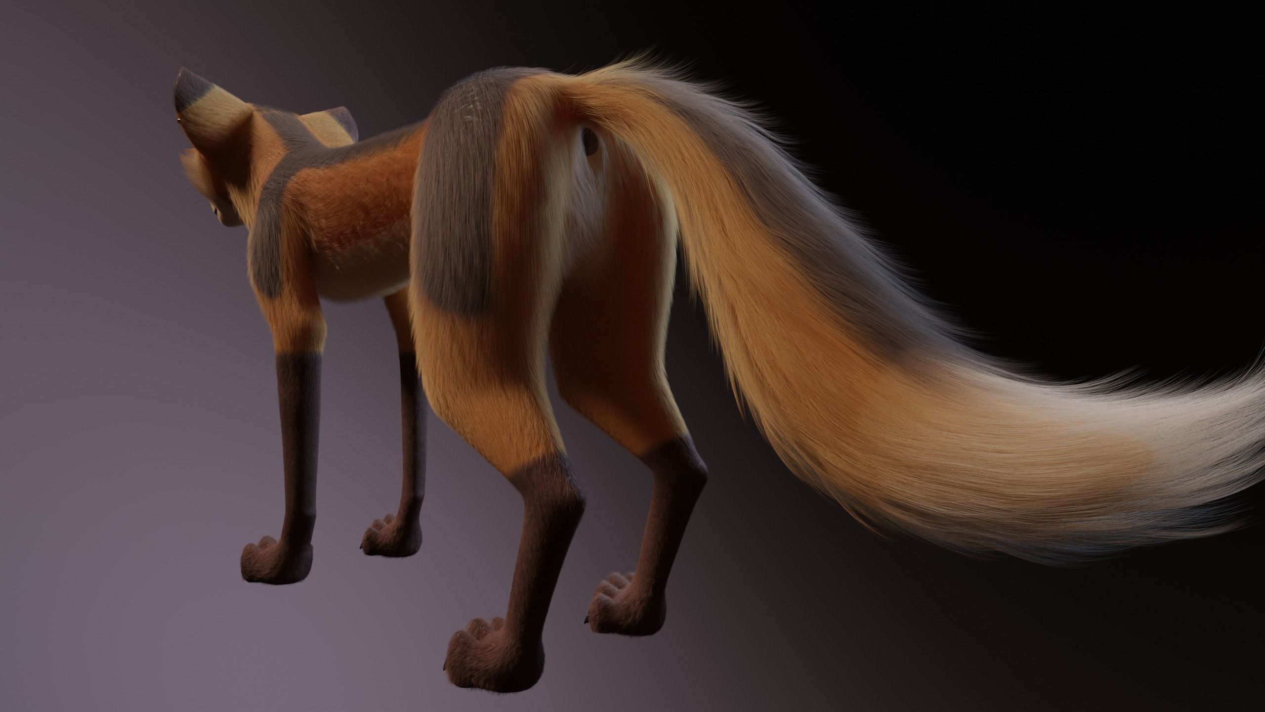 Yakov Fox 3D model_7