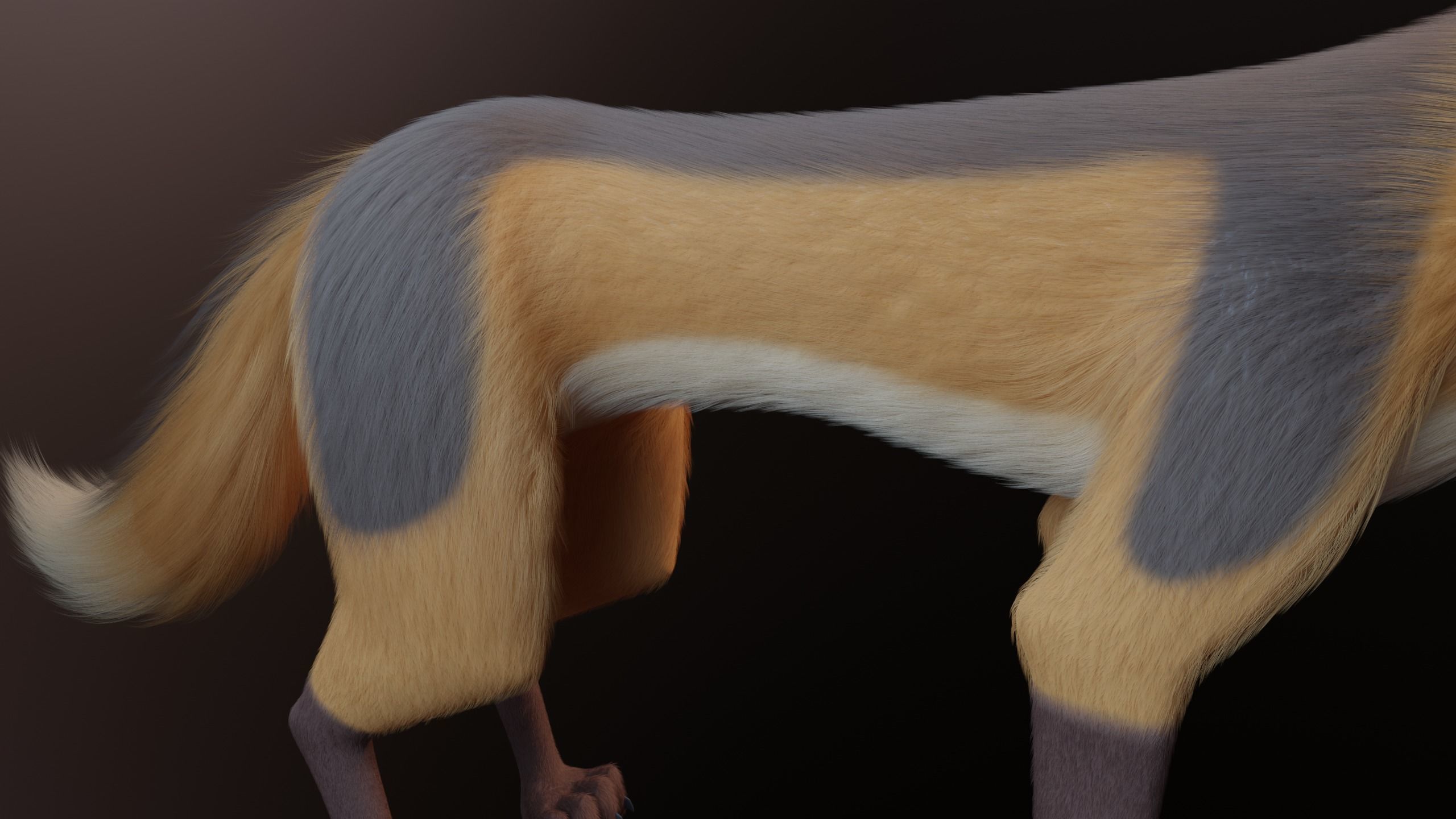 Yakov Fox 3D model_10