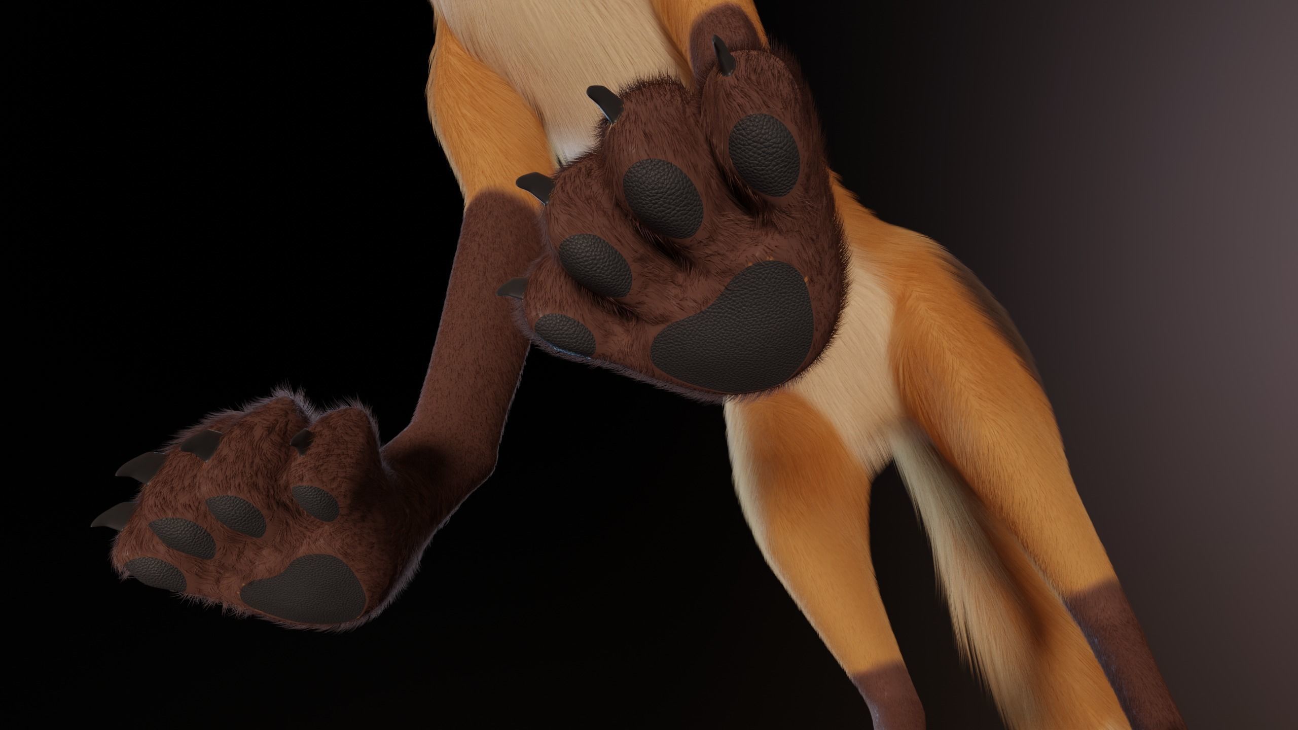 Yakov Fox 3D model_15