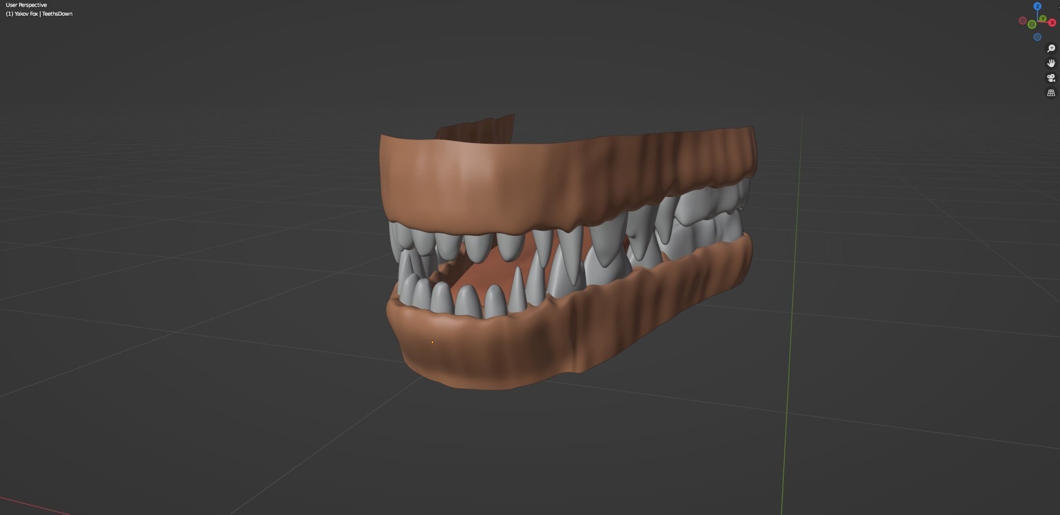 Yakov Fox 3D model_54