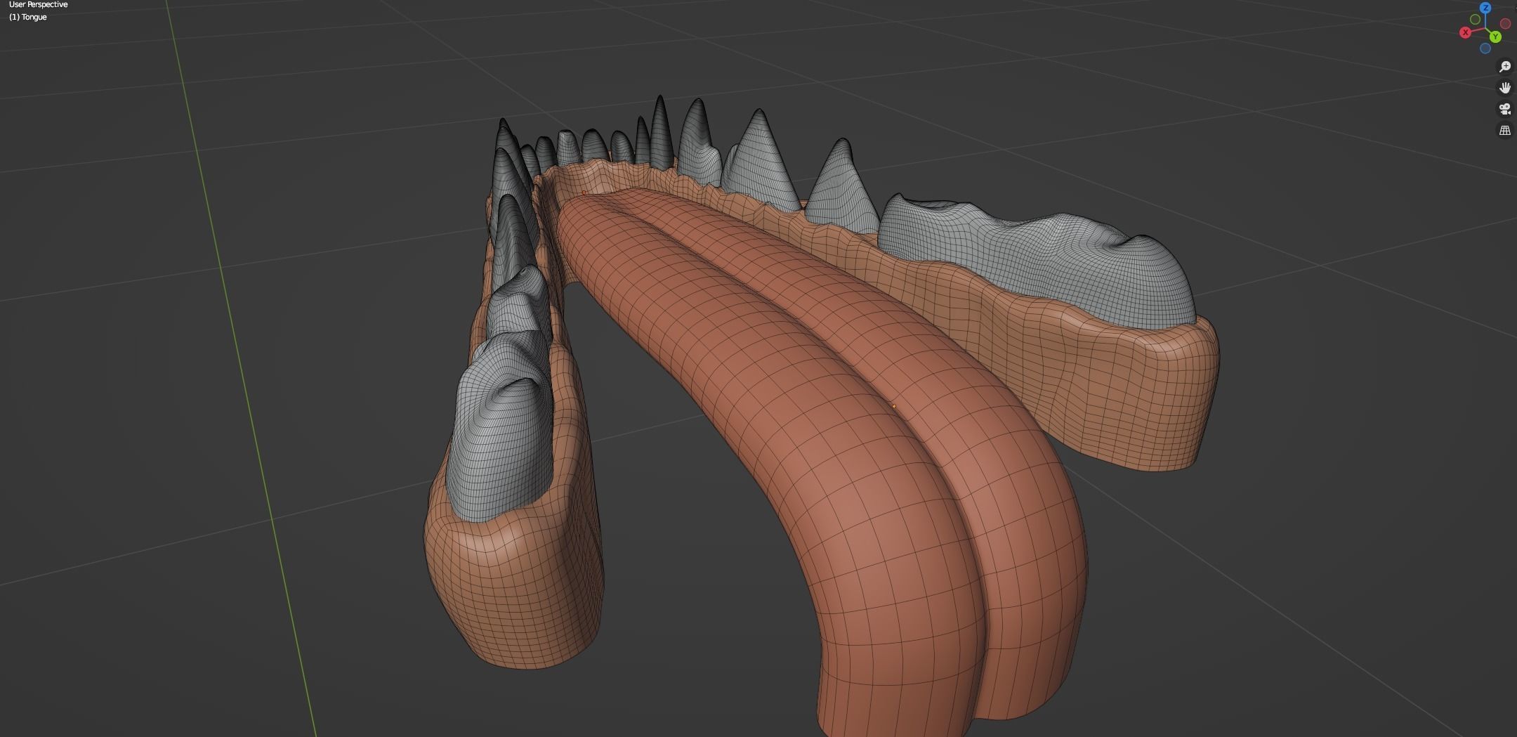 Yakov Fox 3D model_59