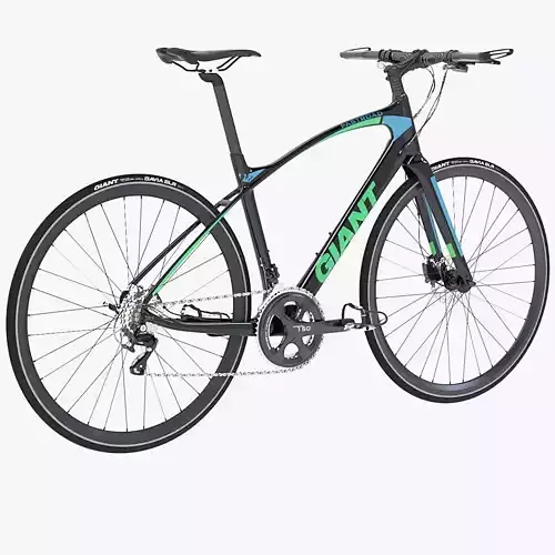 Giant Fastroad Cm1 Black Bicycle