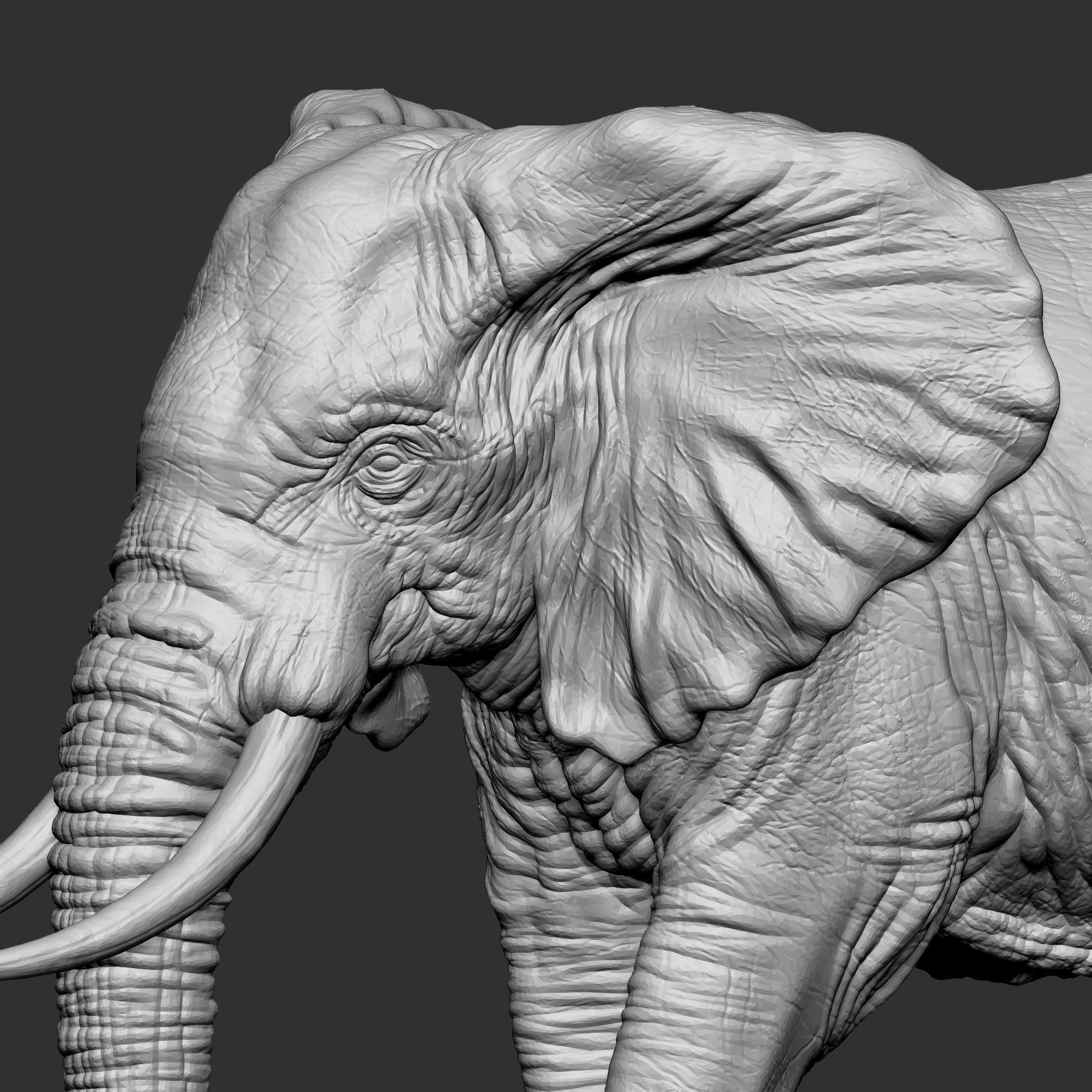 ELEPHANT statue 3D print model_7