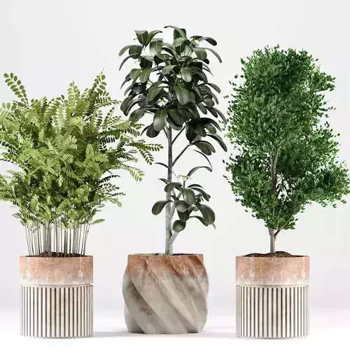 indoor plant set 01