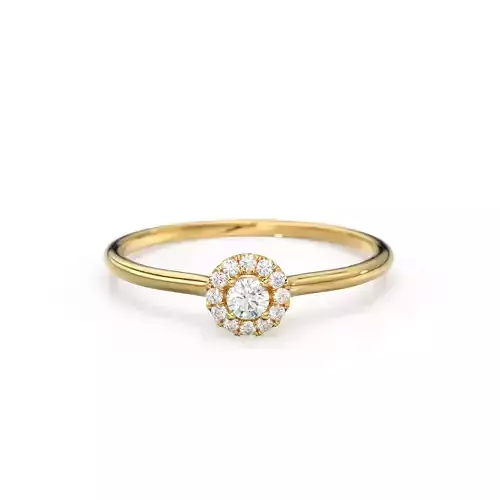 Halo Cluster Diamond Gold Wedding Band Engagement Ring