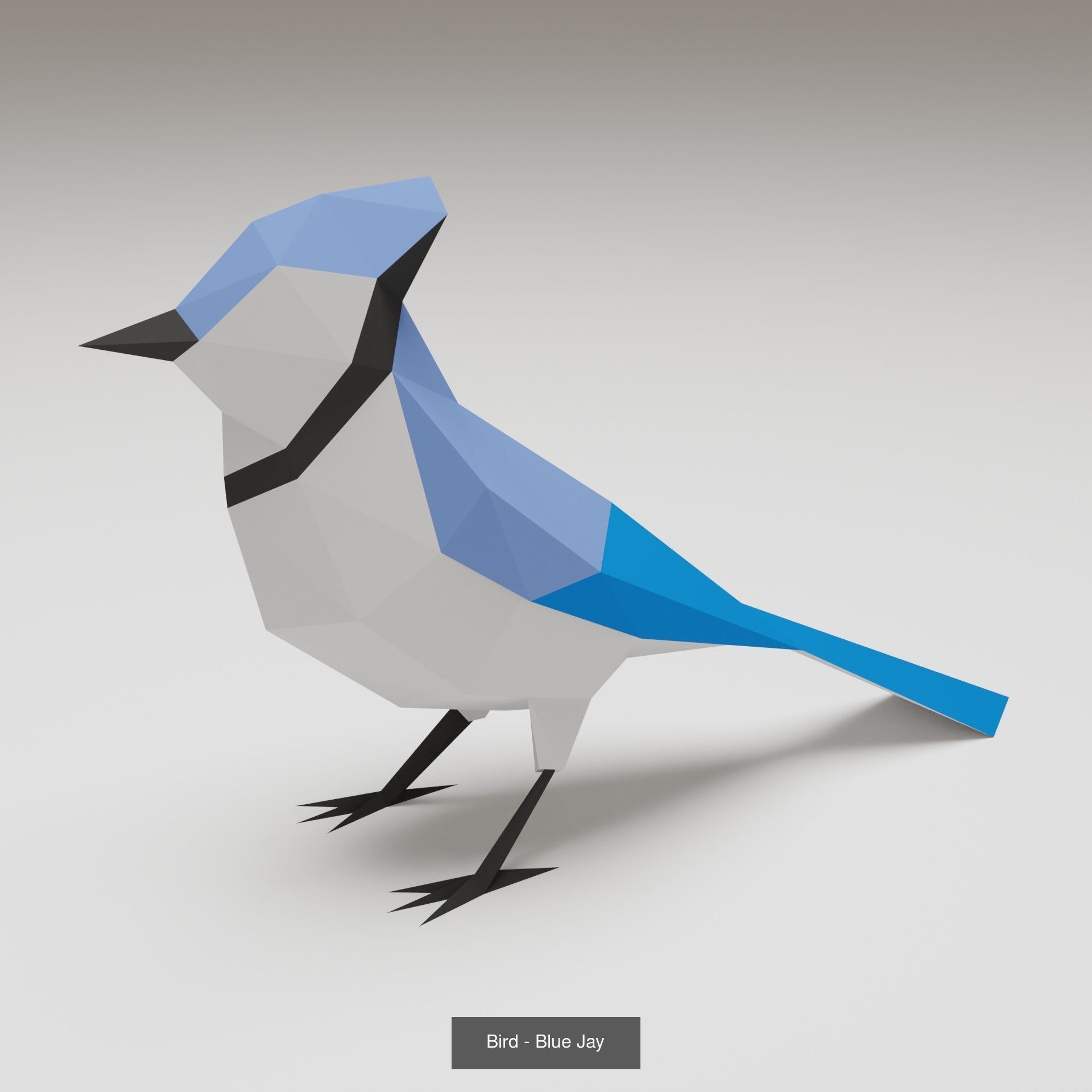Printable Birds 3D Model Collection_2