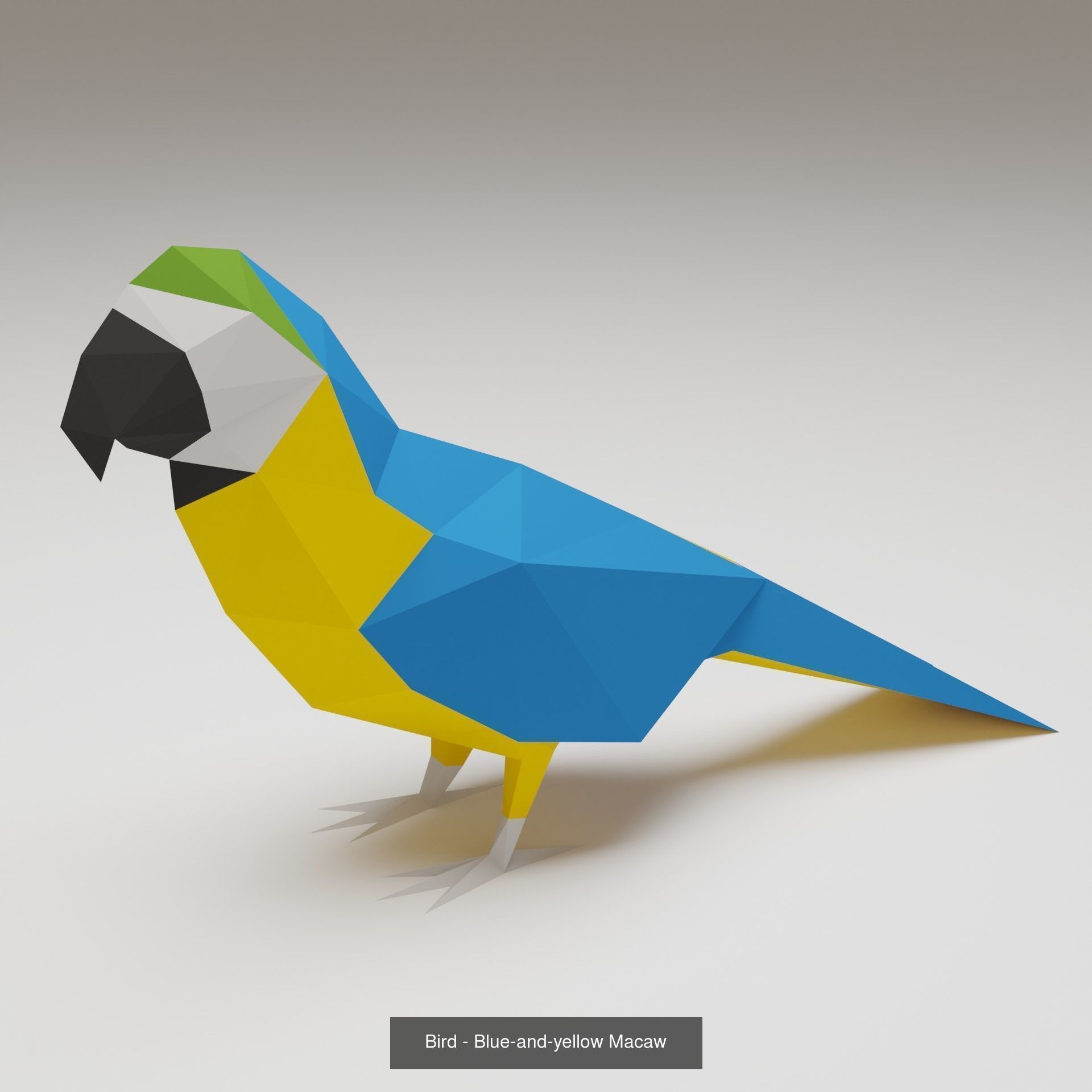 Printable Birds 3D Model Collection_3