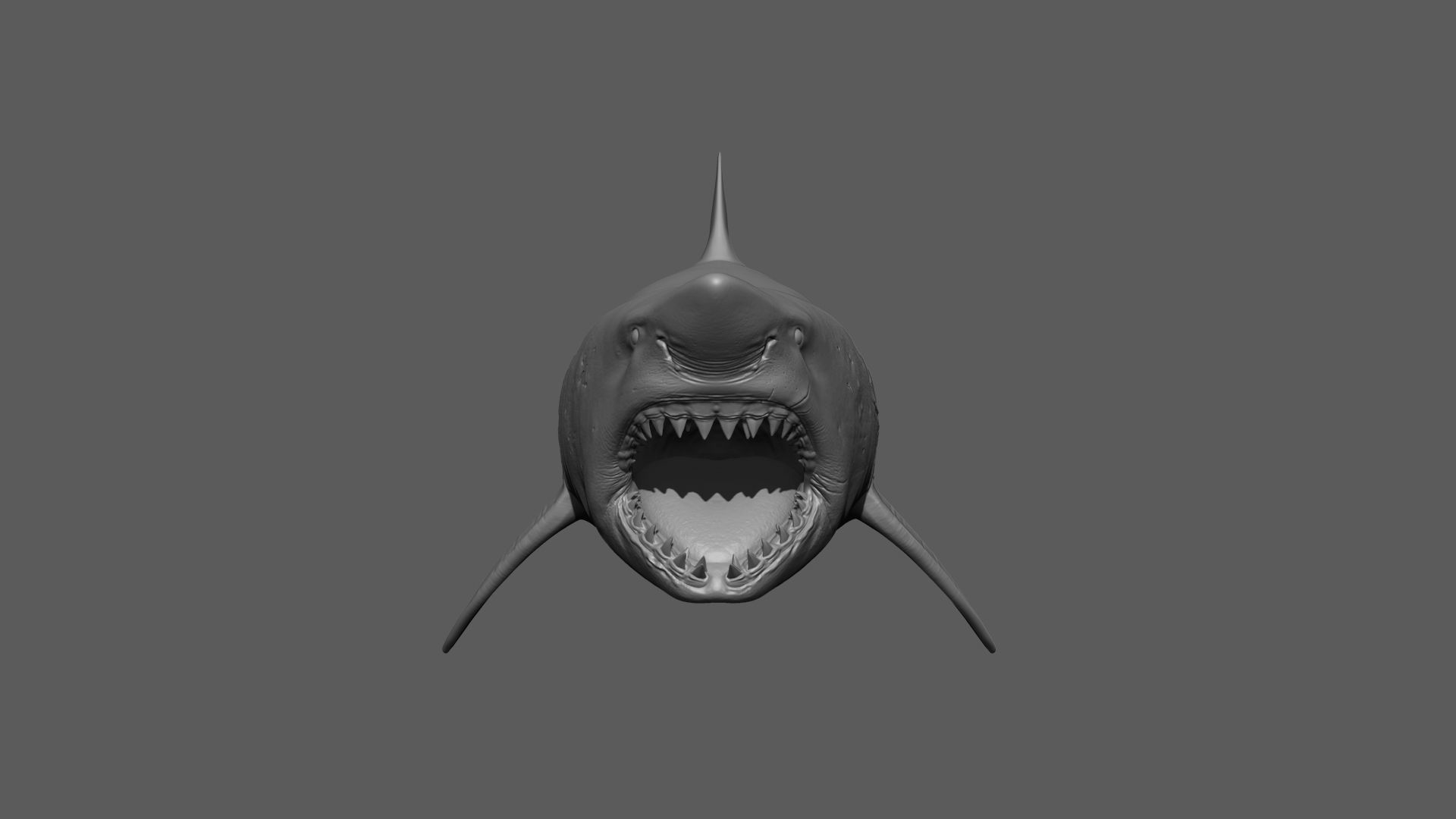 Great White Shark 3D model_17