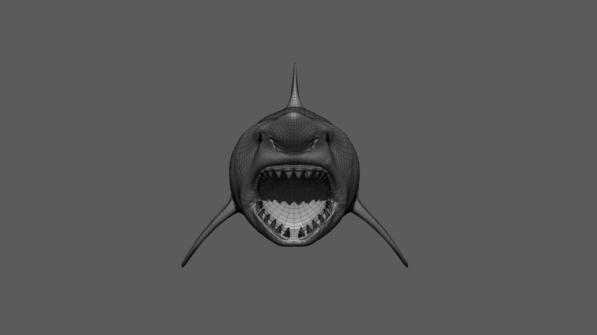 Great White Shark 3D model_16