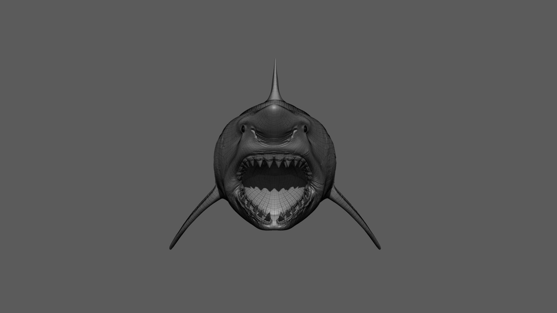 Great White Shark 3D model_18