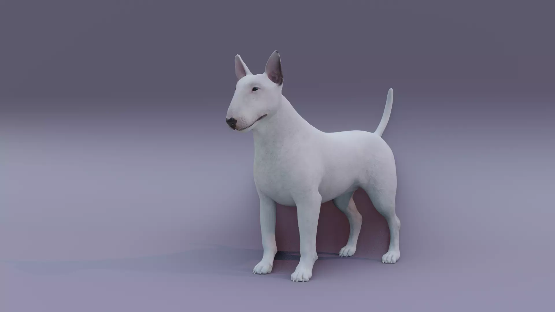 BullTerrier bull terrier 3D model_0