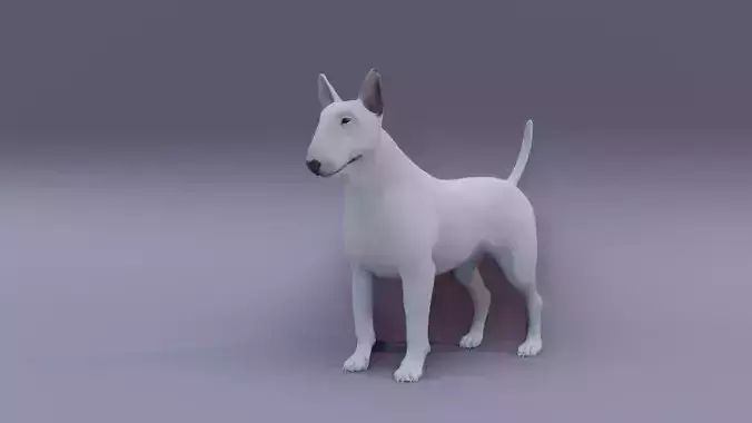 BullTerrier bull terrier