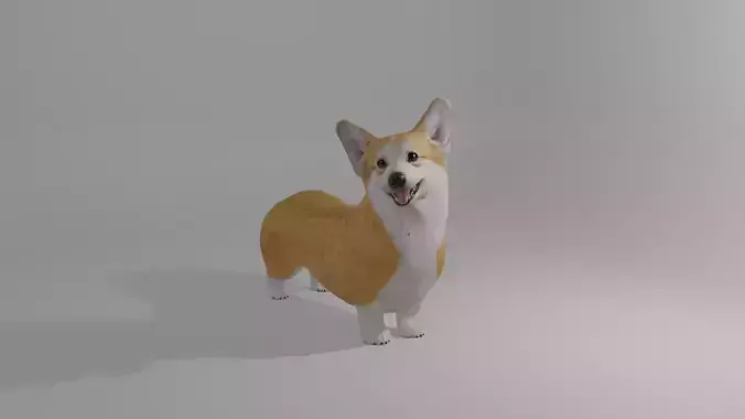 Welshcorgi corgi 3D model