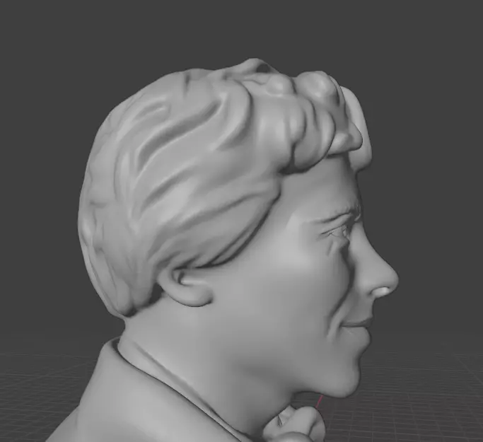 Amelia Earhart 3D print model_10