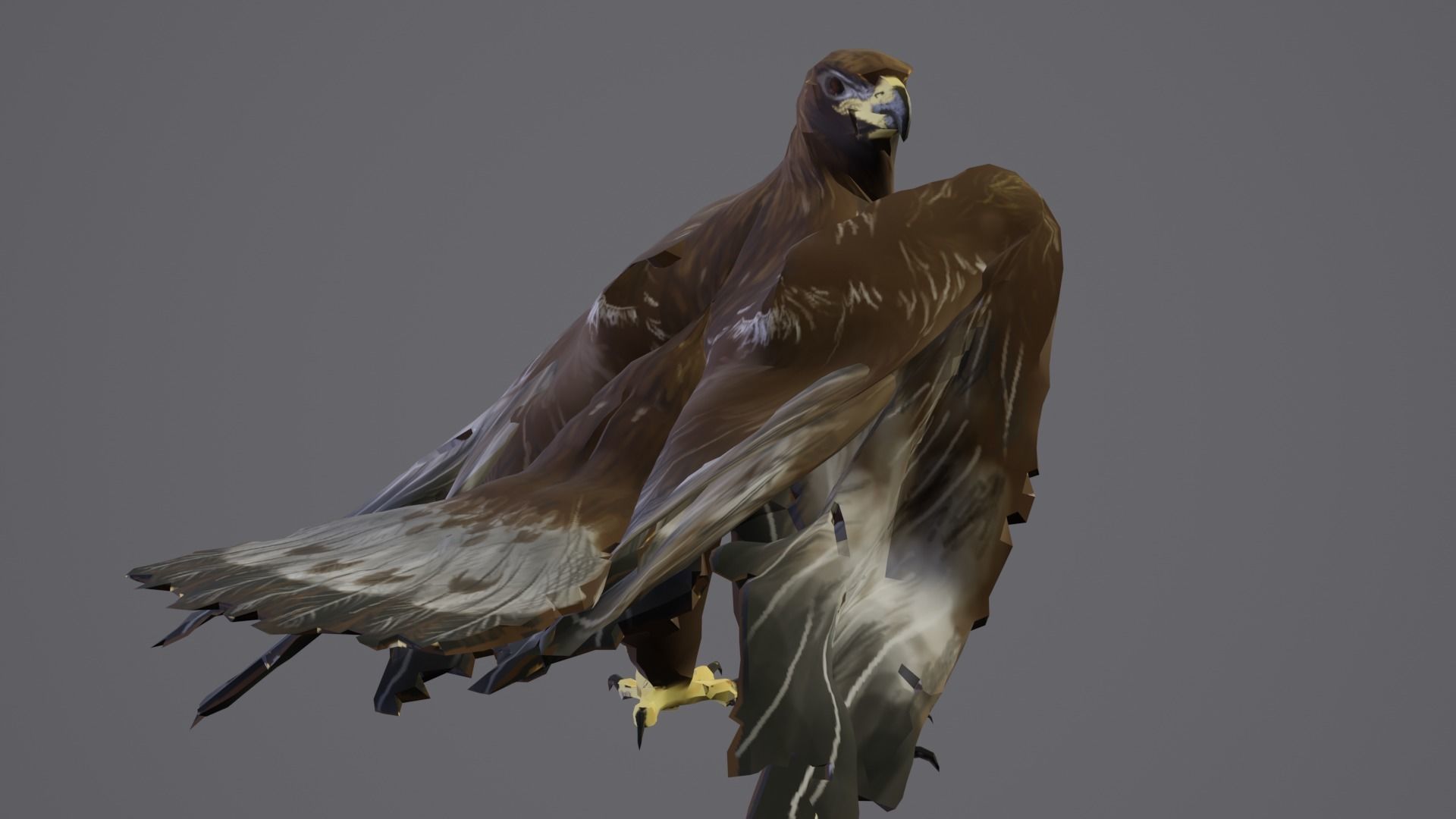 Golden Eagle Low Polly Low-poly 3D model_6